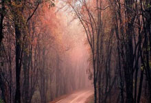 狗万体育：关注｜中国少年造访本菲卡,中葡青训合作开启新篇章.